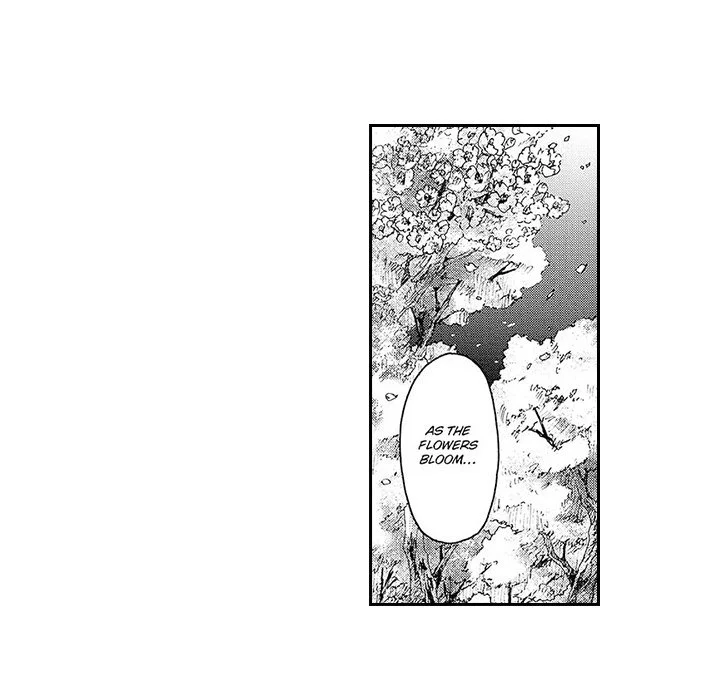 Contract Of Cherry Blossom Guilt - Chapter 3